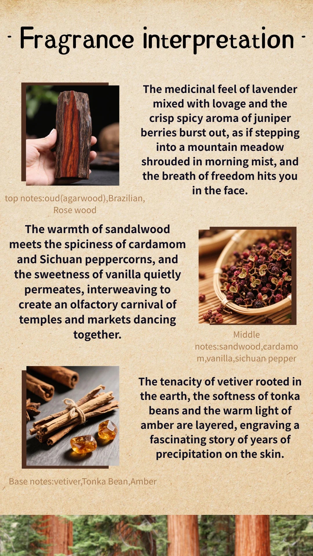 Arabian Oud Woody Perfume