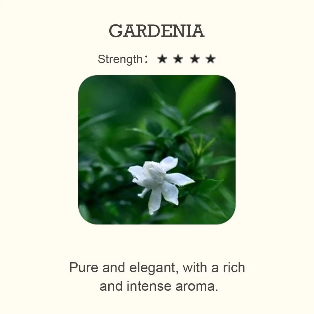 500ml Essential Oil Perfume Fragrance Neroli Helichrysum Copaiba Turmeric Spearmint Anise Star 2023 New Aroma Oil Diffuser Oil