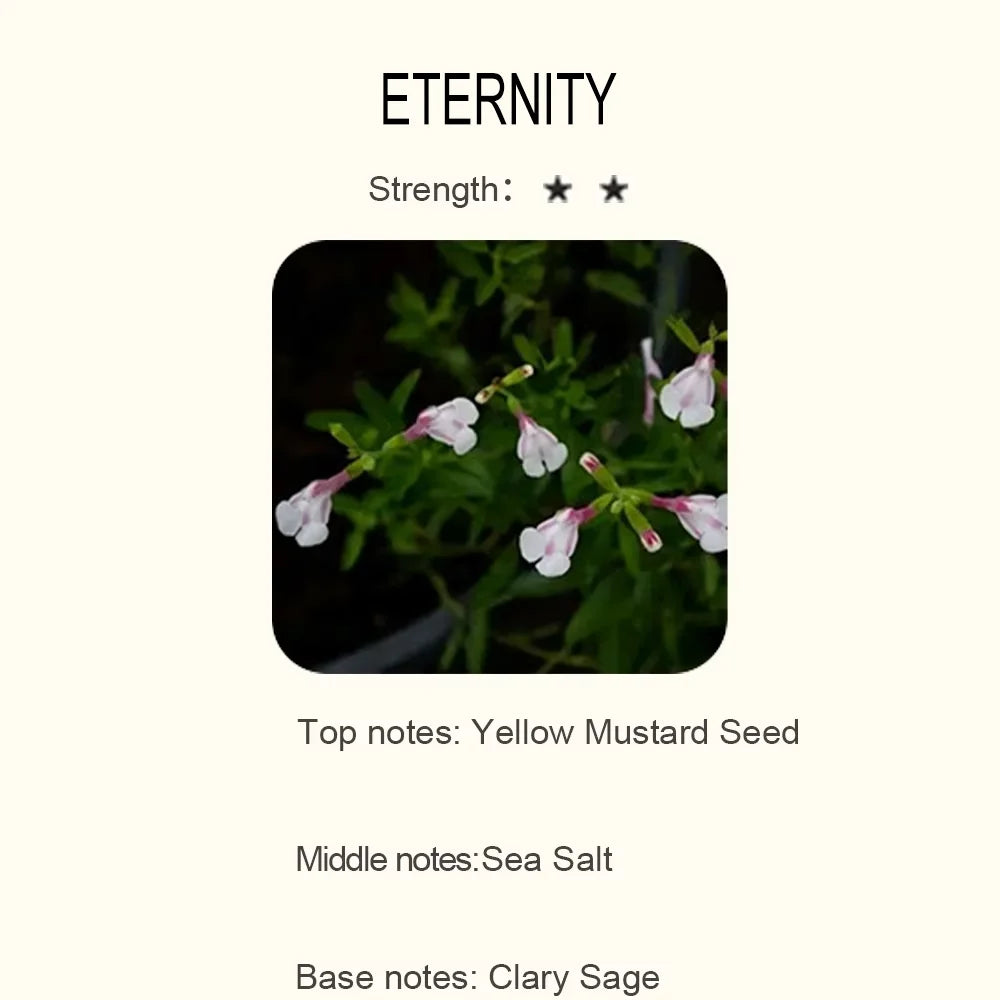 500ml Essential Oil Perfume Fragrance Neroli Helichrysum Copaiba Turmeric Spearmint Anise Star 2023 New Aroma Oil Diffuser Oil