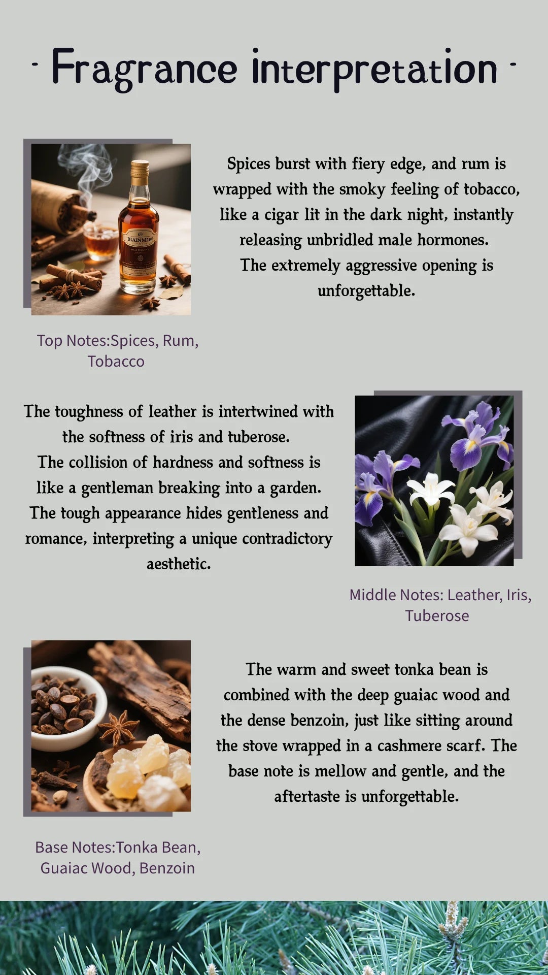Arabian Oud Woody Perfume